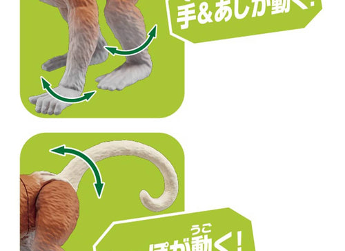 Load image into Gallery viewer, Takara Tomy ANIA AS-29 Proboscis Monkey animal Action Figure
