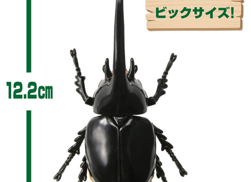 Load image into Gallery viewer, Takara Tomy Ania AL-39 Neptune Beetle Insect Series Action Figure
