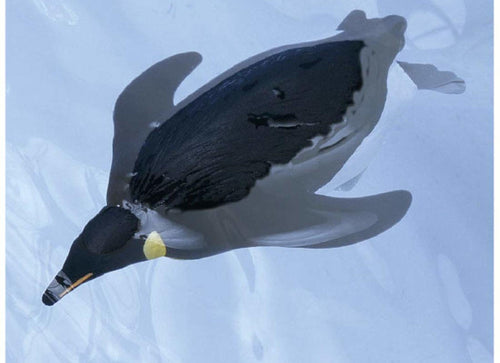 Load image into Gallery viewer, Takara Tomy ANIA Animal AS-11 Emperor Penguin Floatable Ver. Mini Action Figure
