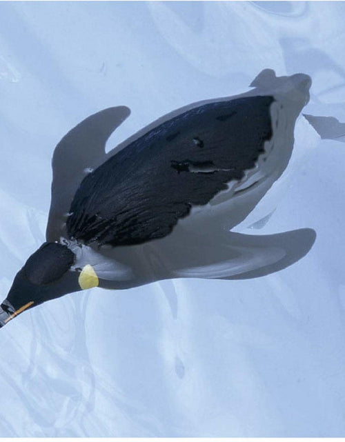 Load image into Gallery viewer, Takara Tomy ANIA Animal AS-11 Emperor Penguin Floatable Ver. Mini Action Figure
