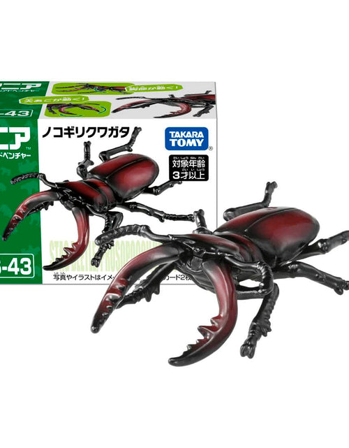 Load image into Gallery viewer, Takara Tomy ANIA animal Action Figure - AS-43 Prosopocoilus Inclinatus

