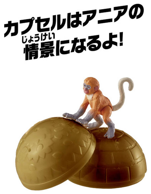Load image into Gallery viewer, Takara Tomy ANIA animal Action Mini Figure - AC-11 Proboscis Monkey (Child)

