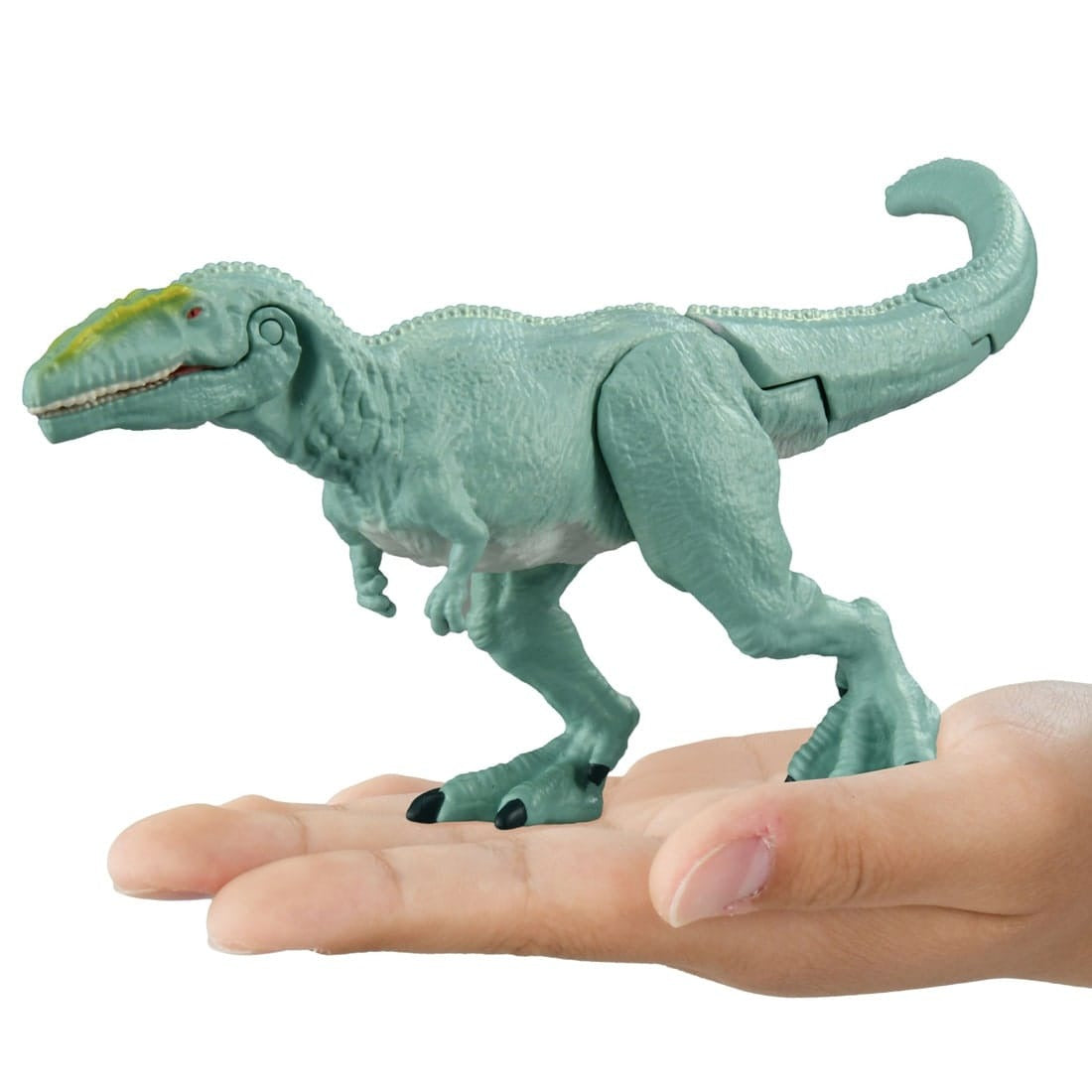 Takara Tomy ANIA Animal Action Figure AL-12 Dinosaurs Giganotosaurus figure