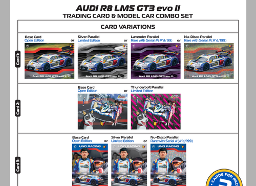 Load image into Gallery viewer, Tarmac Works Audi R8 LMS GT3 evo II Macau GT Cup - FIA GT World Cup
