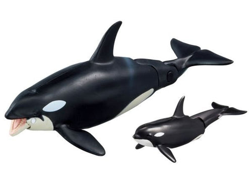 Load image into Gallery viewer, Takara Tomy ANIA Animal AL-08 Killer Whale Parent-Child Action Figure
