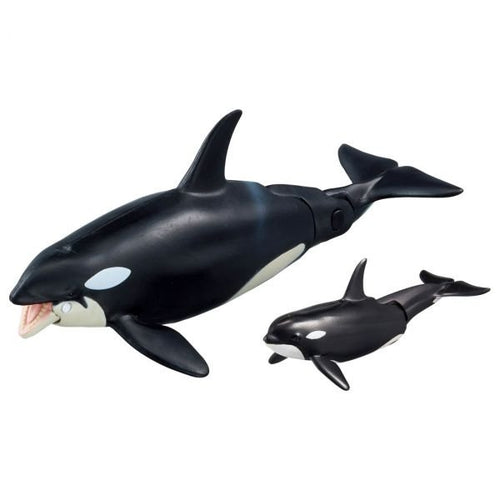 Load image into Gallery viewer, Takara Tomy ANIA Animal AL-08 Killer Whale Parent-Child Action Figure
