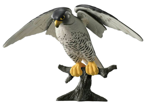Load image into Gallery viewer, Takara Tomy ANIA animal Action Figure - AS-44 Peregrine Falcon
