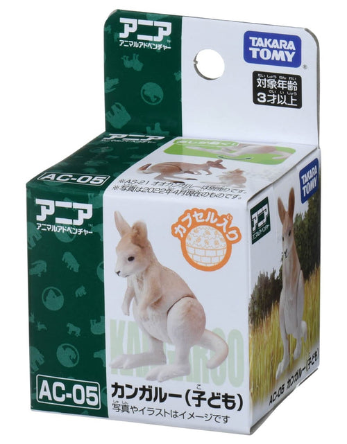 Load image into Gallery viewer, Takara Tomy ANIA animal Action Mini Figure - AC-05 Kangaroo (Child)
