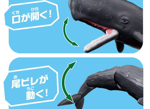 Load image into Gallery viewer, Takara Tomy Ania AL-34 Sperm Whale (Floating Version) Animal Figure

