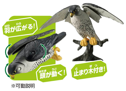 Load image into Gallery viewer, Takara Tomy ANIA animal Action Figure - AS-44 Peregrine Falcon
