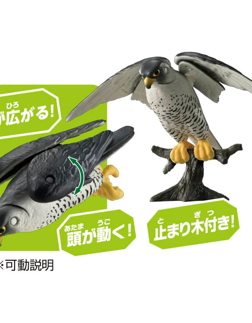 Load image into Gallery viewer, Takara Tomy ANIA animal Action Figure - AS-44 Peregrine Falcon
