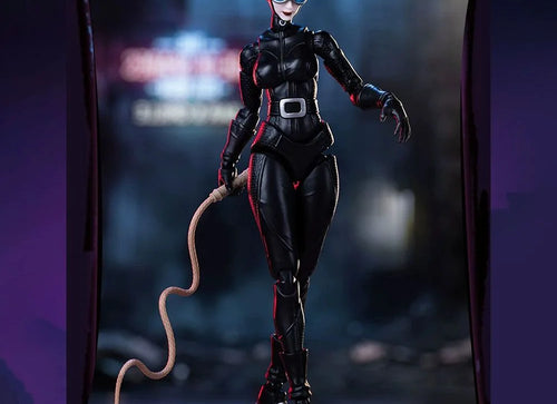 Load image into Gallery viewer, Blokees DC Champion Class 06 CC06 Batman Hush - Catwoman Model Kit Figure
