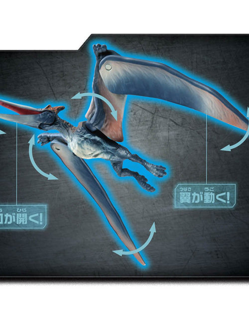 Load image into Gallery viewer, Takara Tomy ANIA Animal Jurassic World Pteranodon dinosaur Action Figure

