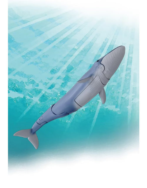 Load image into Gallery viewer, Takara Tomy Ania AL-23 Blue Whale (Floating Ver) Action Figure
