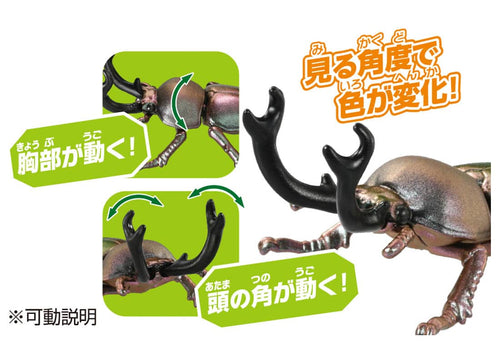 Load image into Gallery viewer, Takara Tomy ANIA animal Action Figure - AS-42 Phalacrognathus Muelleri
