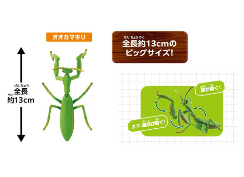Load image into Gallery viewer, Takara Tomy Ania Nature's most Powerful Living Creature Figure Set
