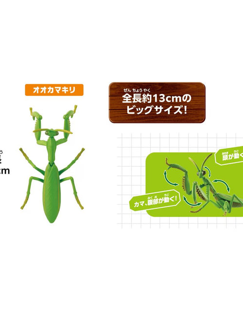 Load image into Gallery viewer, Takara Tomy Ania Nature&#39;s most Powerful Living Creature Figure Set
