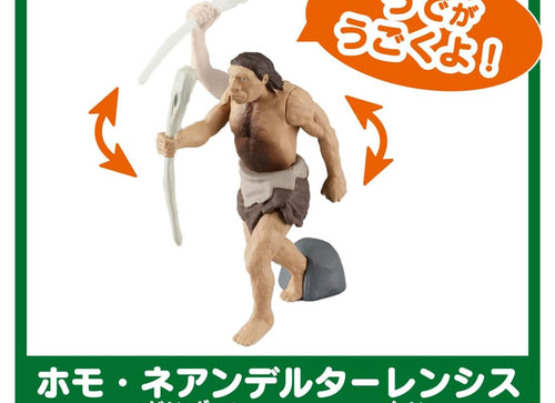 Load image into Gallery viewer, Takara Tomy Ania Shogakukan Encyclopedia Neo Prehistoric Creatures w/mini Guide
