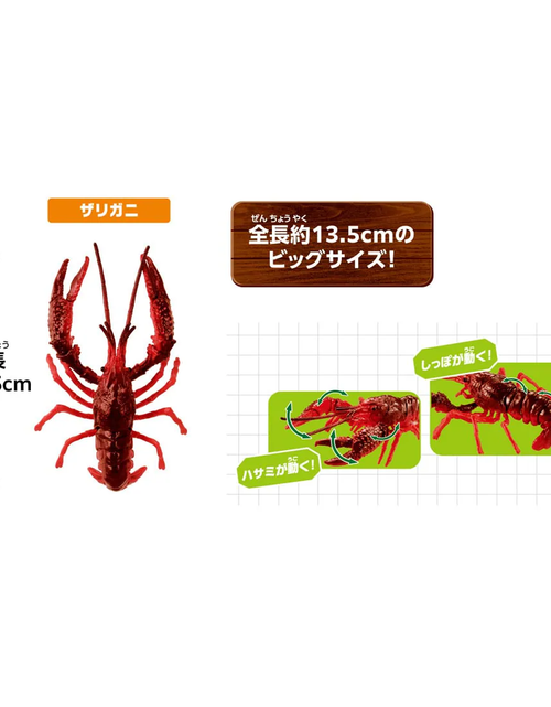 Load image into Gallery viewer, Takara Tomy Ania Nature&#39;s most Powerful Living Creature Figure Set
