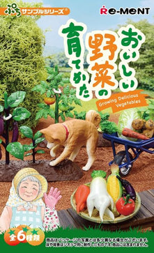 Load image into Gallery viewer, Re-ment Petit Sample Series Vegetable Harvesting 6pcs Complete Box Full Set
