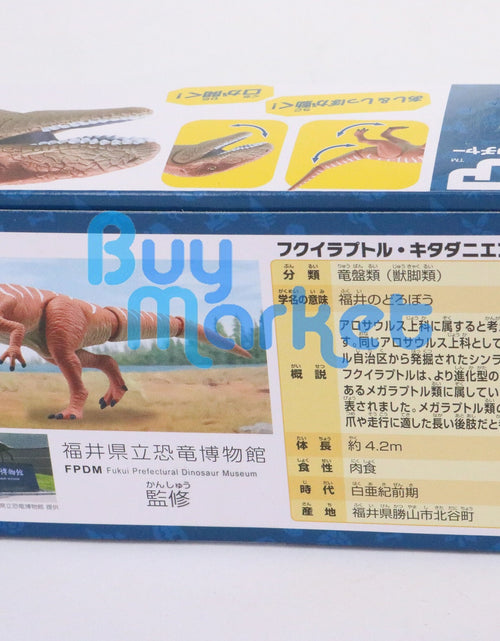 Load image into Gallery viewer, Takara Tomy ANIA Animal Fukuiraptor dinosaur Action Figure
