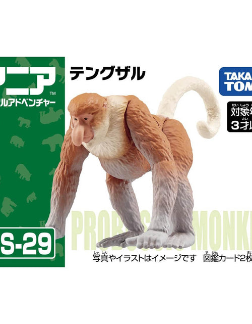 Load image into Gallery viewer, Takara Tomy ANIA AS-29 Proboscis Monkey animal Action Figure
