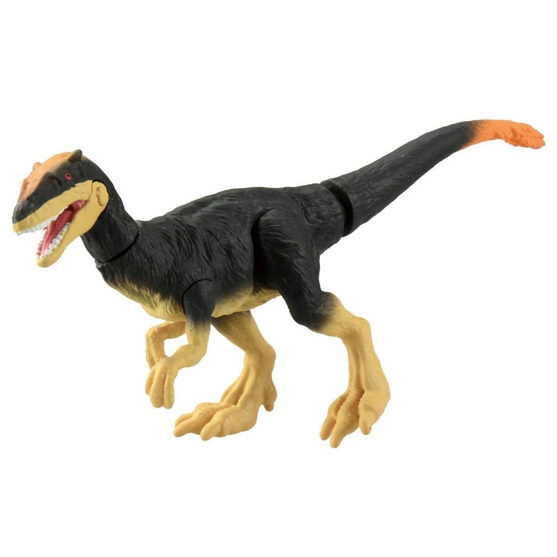 Takara Tomy ANIA Animal Adventure Action Figure AS-23 Dilong Dillon 5CM