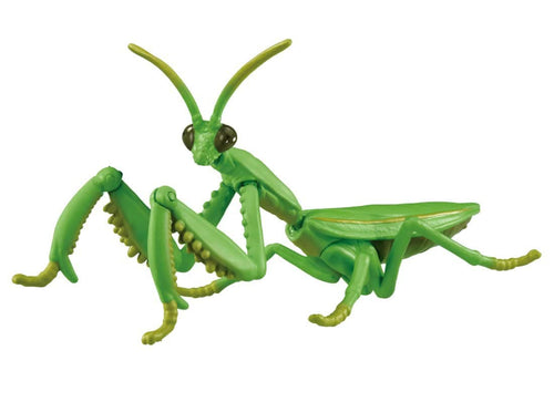 Load image into Gallery viewer, Takara Tomy Ania AL-32 Tenodera aridifolia Animal Mini Action Figure
