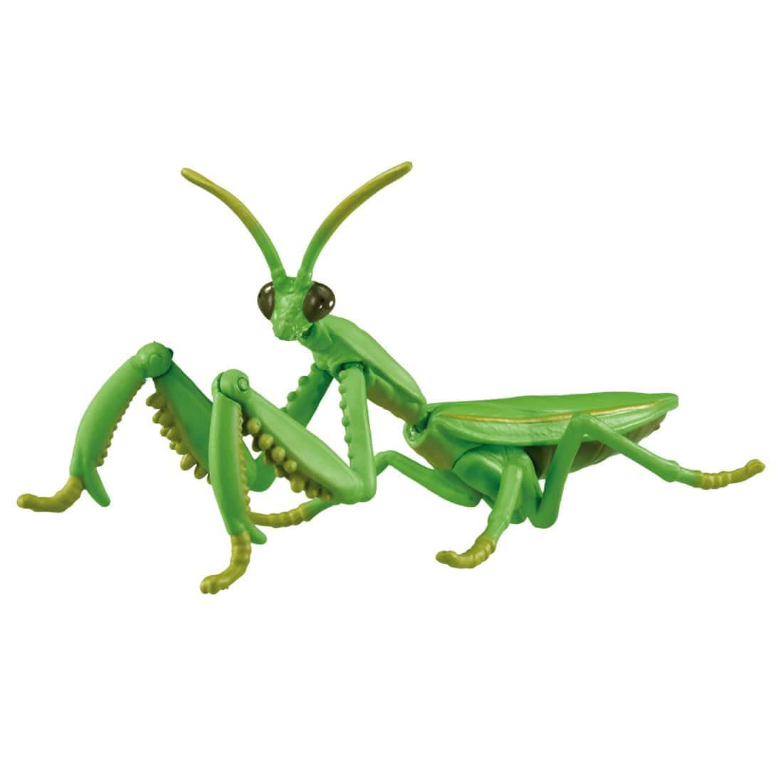 Takara Tomy Ania AL-32 Tenodera aridifolia Animal Mini Action Figure