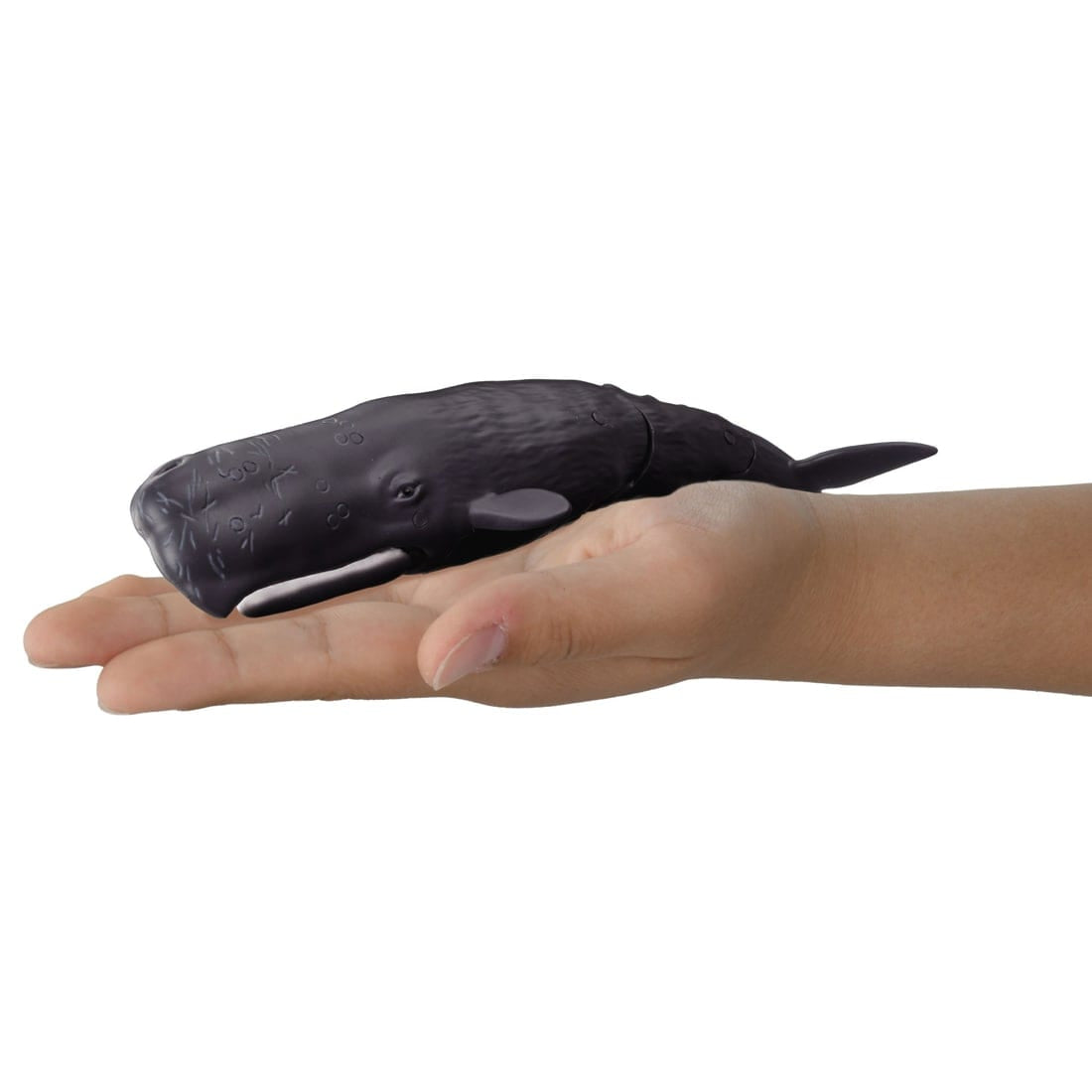Takara Tomy Ania AL-34 Sperm Whale (Floating Version) Animal Figure