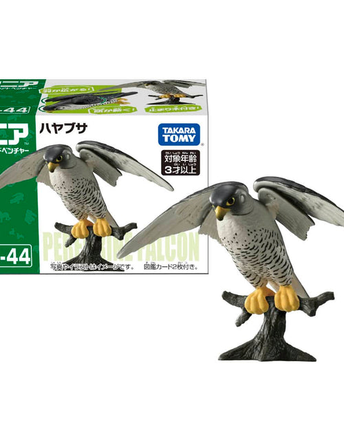 Load image into Gallery viewer, Takara Tomy ANIA animal Action Figure - AS-44 Peregrine Falcon
