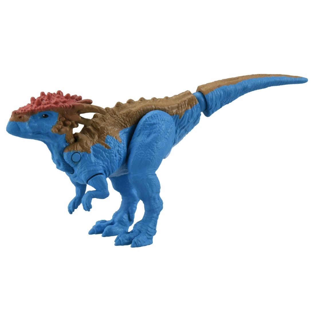 Takara Tomy ANIA Animal Adventure Action Figure AS-24 Dracorex Dinosaur 5CM