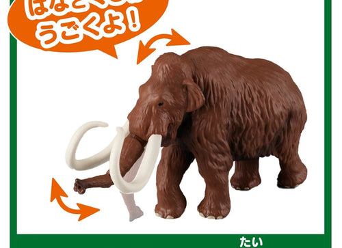 Load image into Gallery viewer, Takara Tomy Ania Shogakukan Encyclopedia Neo Prehistoric Creatures w/mini Guide
