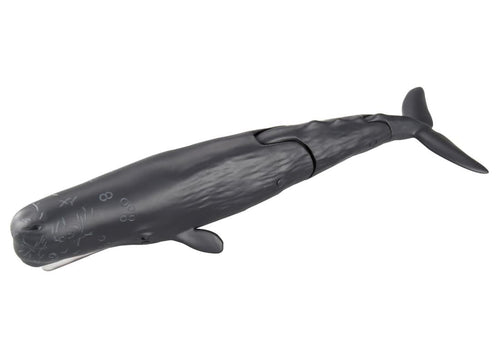 Load image into Gallery viewer, Takara Tomy Ania AL-34 Sperm Whale (Floating Version) Animal Figure
