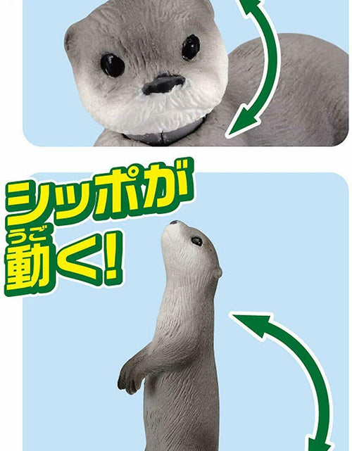 Load image into Gallery viewer, Takara Tomy ANIA Animal AS-15 Sea Otter Floatable Ver. Mini Action Figure
