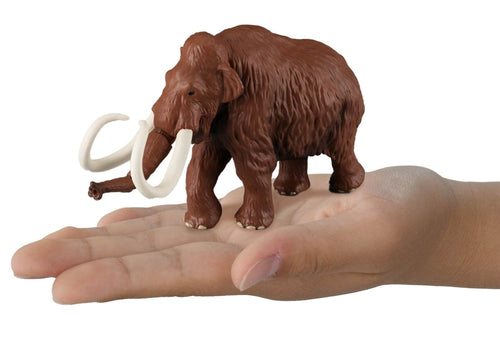 Load image into Gallery viewer, Takara Tomy Ania Shogakukan Encyclopedia Neo Prehistoric Creatures w/mini Guide
