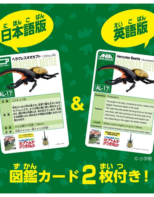 Load image into Gallery viewer, Takara Tomy ANIA AL-17 Dynastes Hercules Beetle Insects Figure 15cm
