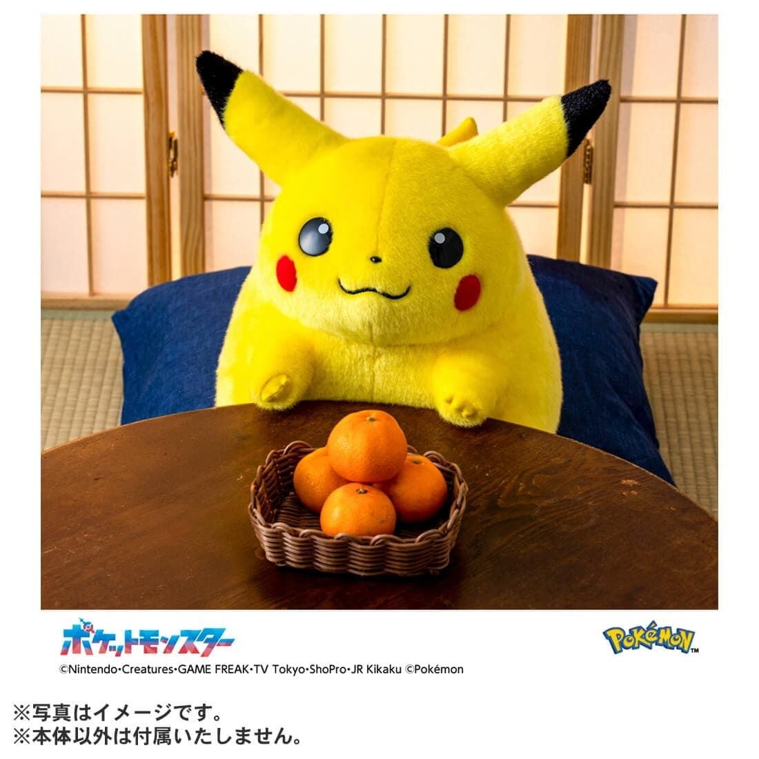 Takara Tomy Pokemon Plush - 30th Anniversary Come Back Pikachu 1/1 Asia Ver.