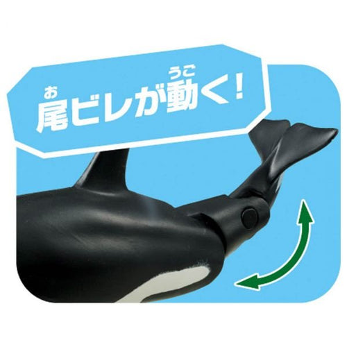 Load image into Gallery viewer, Takara Tomy ANIA Animal AL-08 Killer Whale Parent-Child Action Figure
