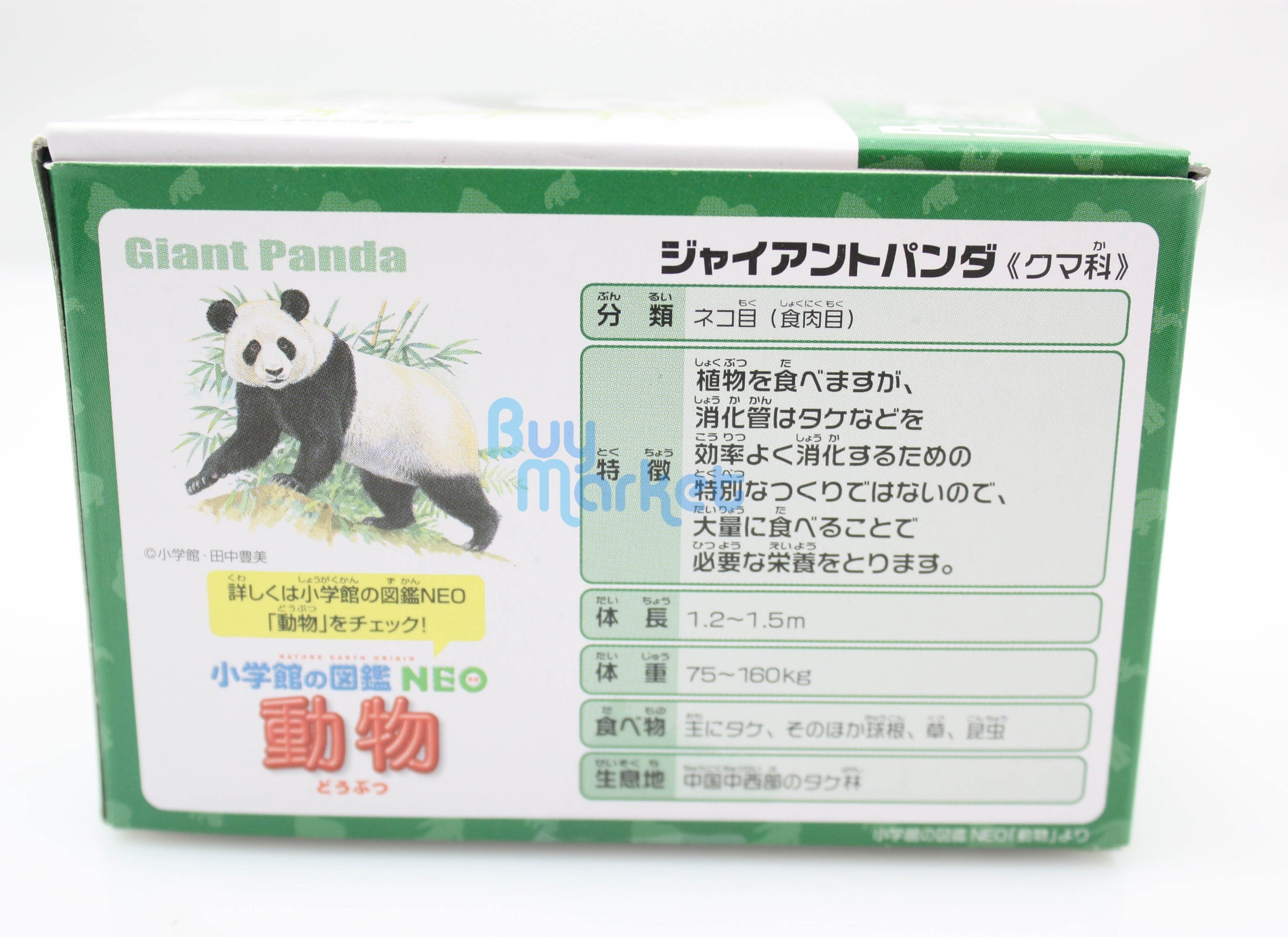 Takara Tomy ANIA Animal AS-03 China Giant Panda Mini Action Figure Quality Toy