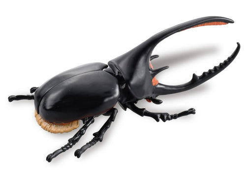 Load image into Gallery viewer, Takara Tomy Ania AL-39 Neptune Beetle Insect Series Action Figure
