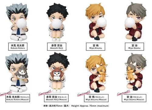 Load image into Gallery viewer, Takara Tomy Arts PERIHAPI! Hide &amp; Seek Haikyu!! Fukurodani Gakuen Full Set 8pc
