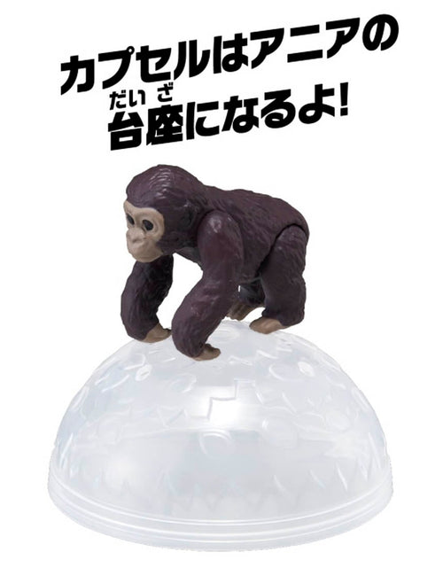 Load image into Gallery viewer, Takara Tomy ANIA animal Action Mini Figure - AC-03 Gorilla (Child)
