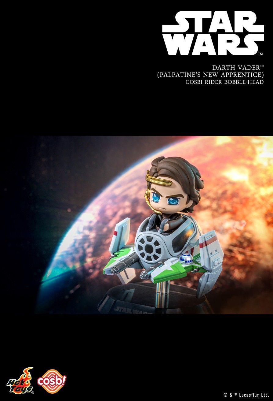 Hot Toys Star Wars Cosbi Rider Bobble-Head Collection Series 2 (Full set of 6)