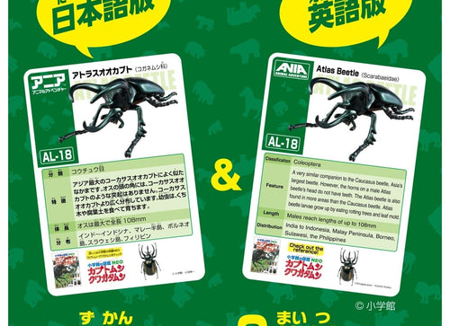 Load image into Gallery viewer, Takara Tomy ANIA AL-18 Dynastes Atlas Beetle Insects Figure 10cm
