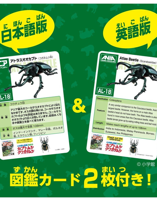 Load image into Gallery viewer, Takara Tomy ANIA AL-18 Dynastes Atlas Beetle Insects Figure 10cm
