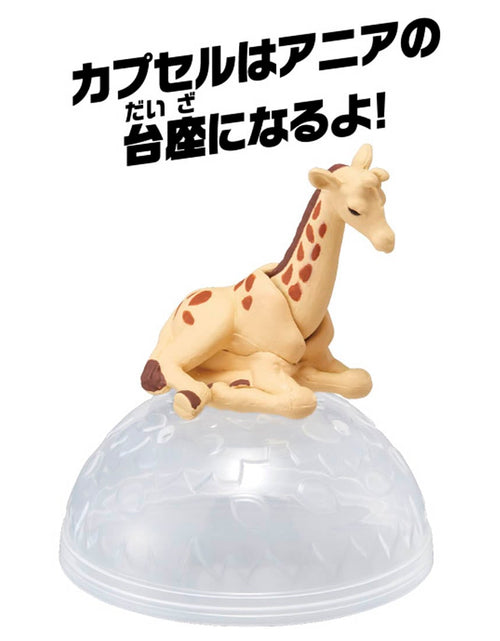 Load image into Gallery viewer, Takara Tomy ANIA animal Action Mini Figure - AC-04 Giraffe (Child)
