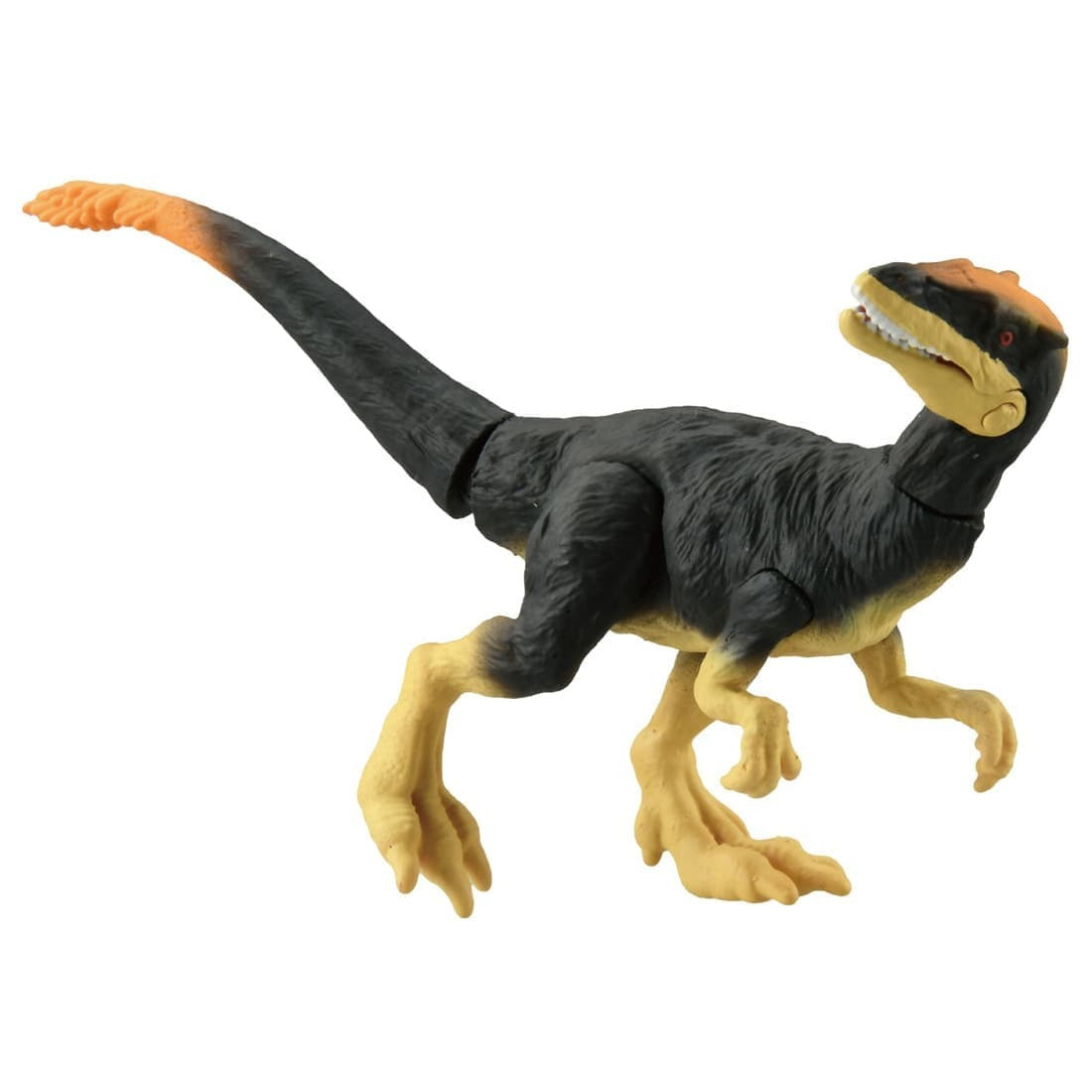 Takara Tomy ANIA Animal Adventure Action Figure AS-23 Dilong Dillon 5CM