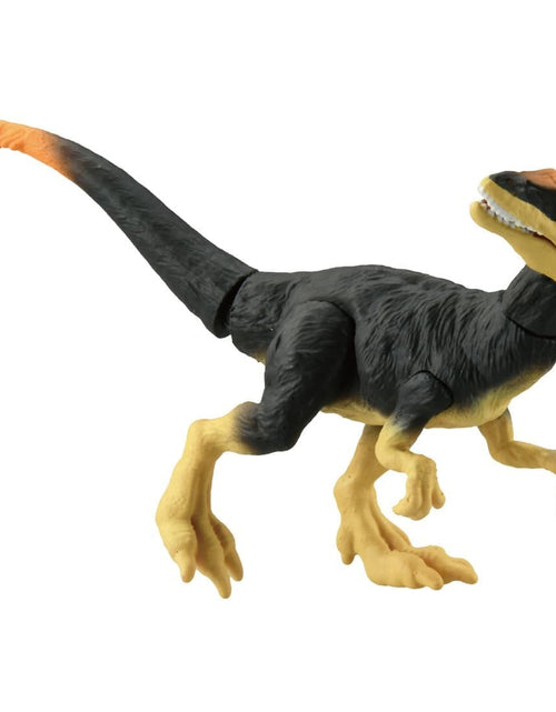 Load image into Gallery viewer, Takara Tomy ANIA Animal Adventure Action Figure AS-23 Dilong Dillon 5CM
