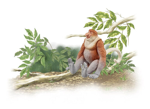 Load image into Gallery viewer, Takara Tomy ANIA AS-29 Proboscis Monkey animal Action Figure
